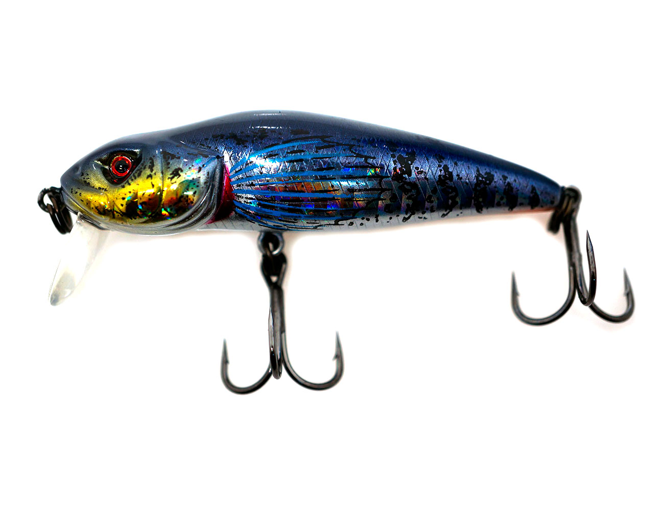 3470_asakura_bullhead_160_2.jpg