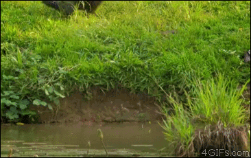 35e2a6bce725e5f5880d2a5a0c9f2554449bfa1368.gif