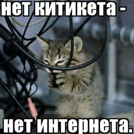 3645645.png