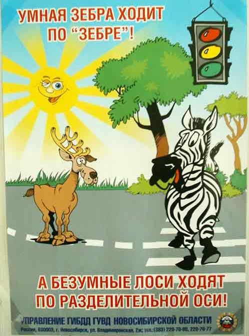 36c8c2421ef72e3e[1].jpg