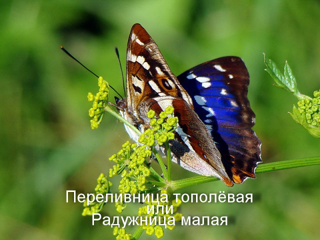 38.jpg