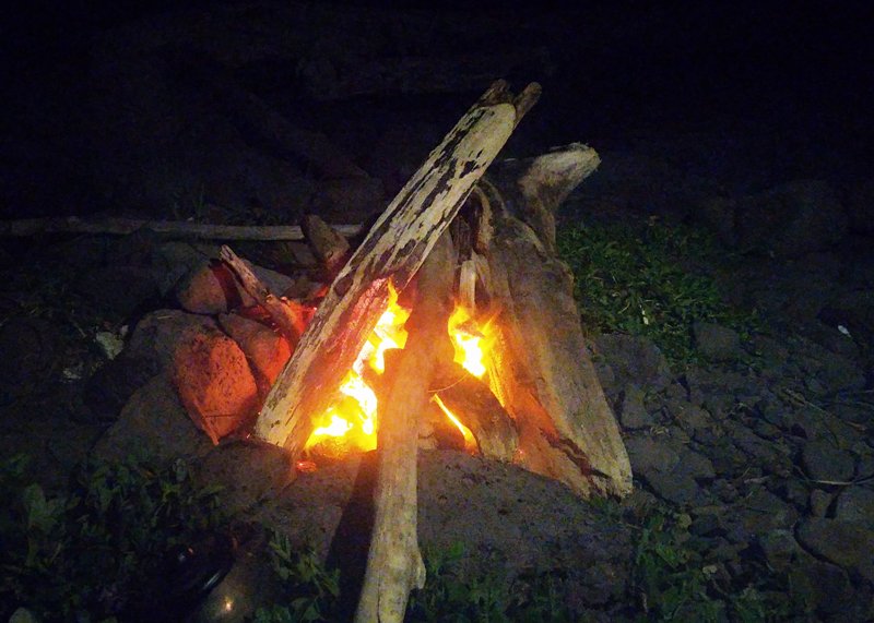39.jpg