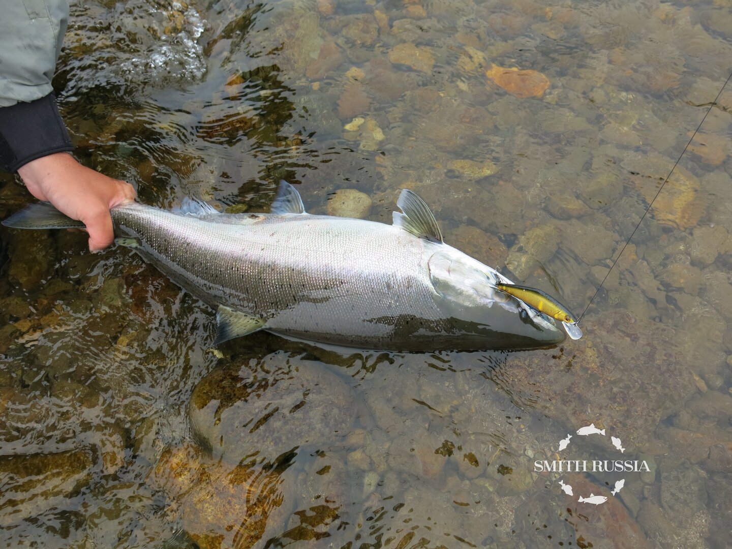 39.JPG
