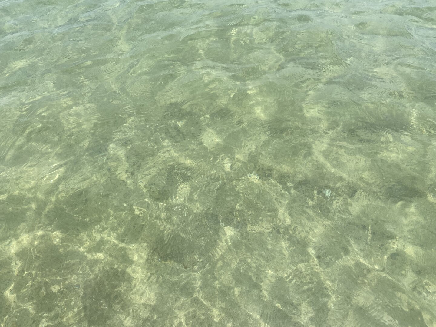 3941D475-C0A4-499E-BA62-C55E5EA3F5AD.jpeg