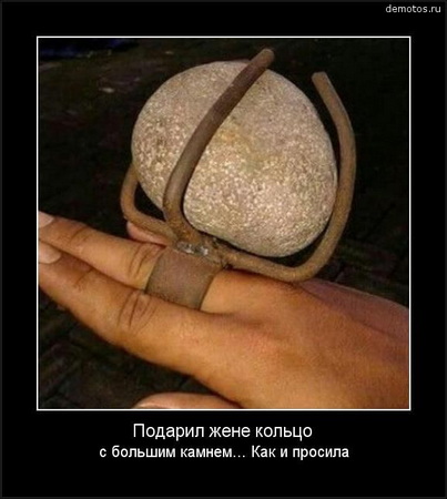 3a083b7d80a6ddc4dba75723b5986ba8.jpg