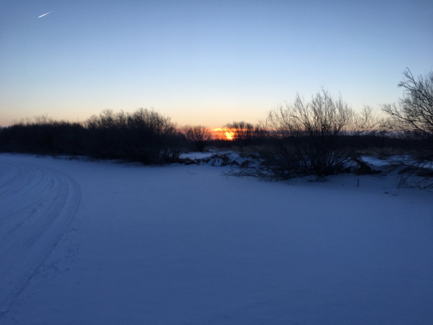 3B7A050A-132B-49B0-8B8A-9B29ED1B4375.jpeg