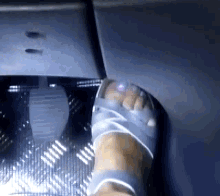 3BF2D3A6-EFC1-4F1C-8A84-56174009C540.gif