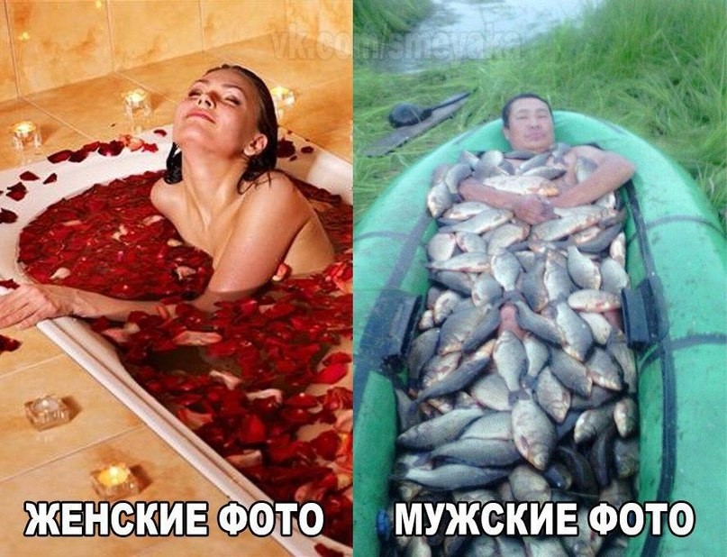 3ca6d9e45e.jpg