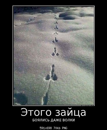 %3D%3Dщшлоттг.jpg