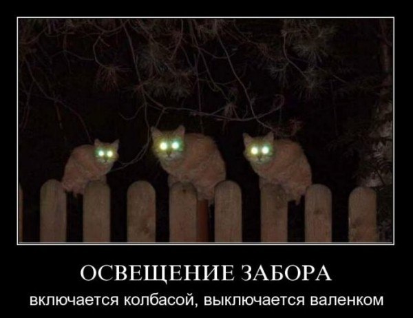 3vuKgzxgMag.jpg