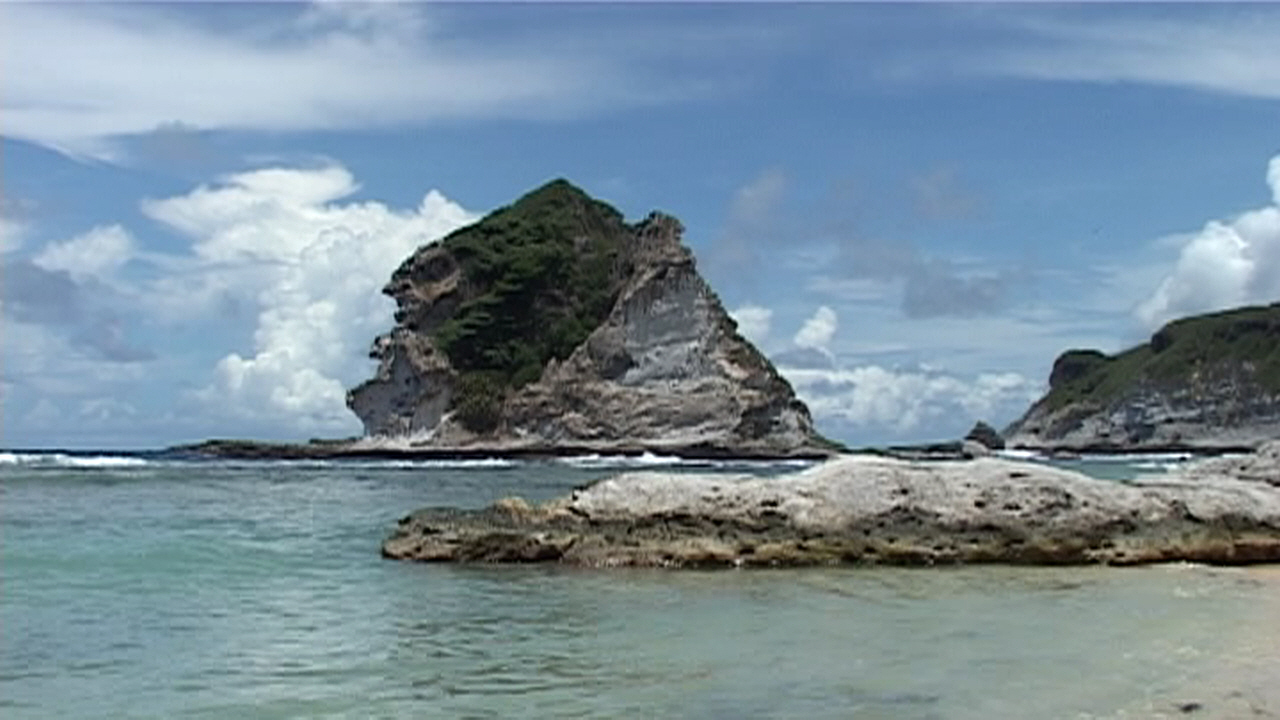 41 Птичий остров Гидалевич.jpg