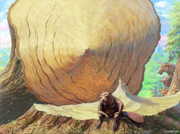 422944.jpg