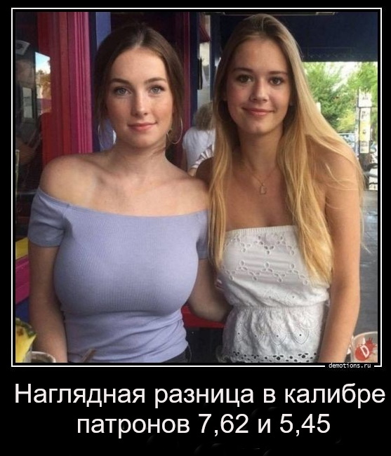 43.jpg
