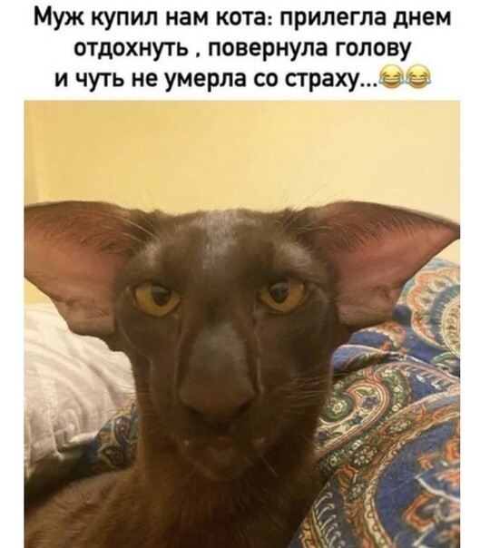 456546.jpg
