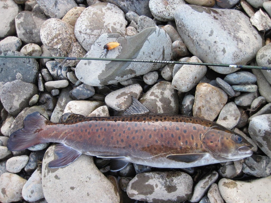 490.JPG