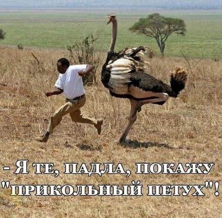 49e5d3aa1fb7d644a5c36de8a3f86e74.jpg