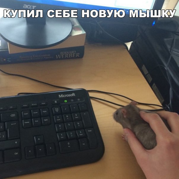 4A55PP6nR1w.jpg