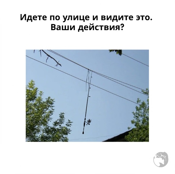 4UmW_-wxe1M.jpg