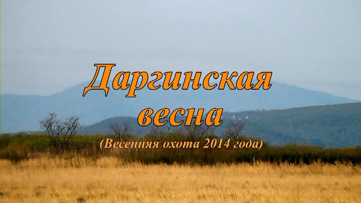 50 Даргинская весна Ничиков.jpg