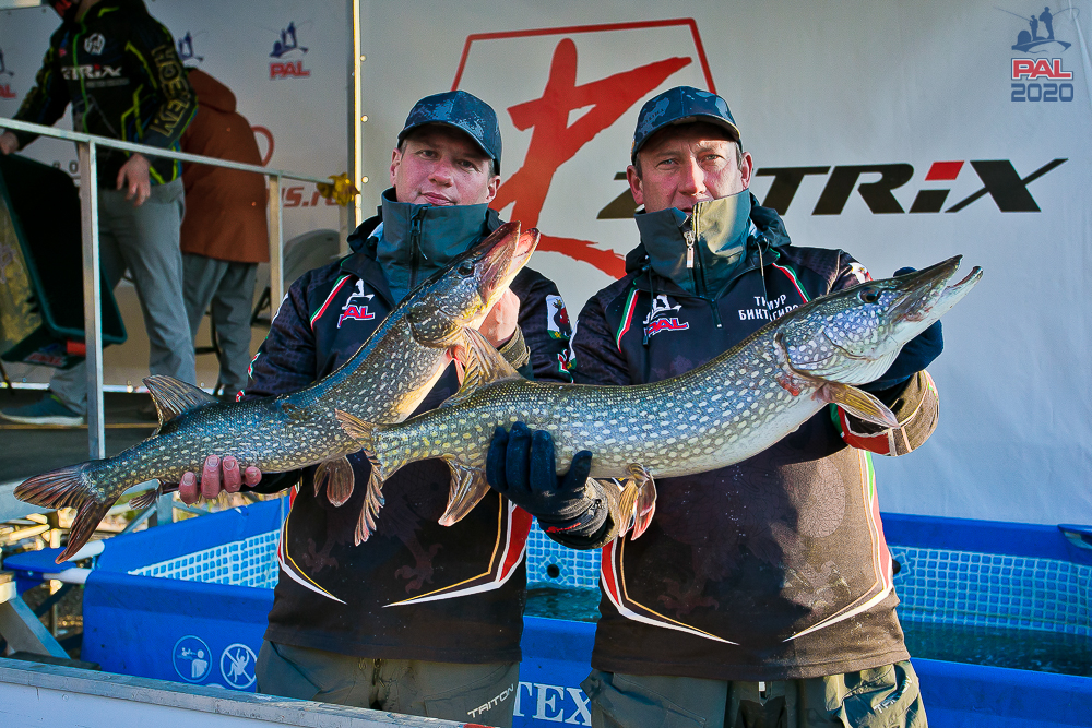 5138452eaa51beb3617feb30c5d93bd6.jpg