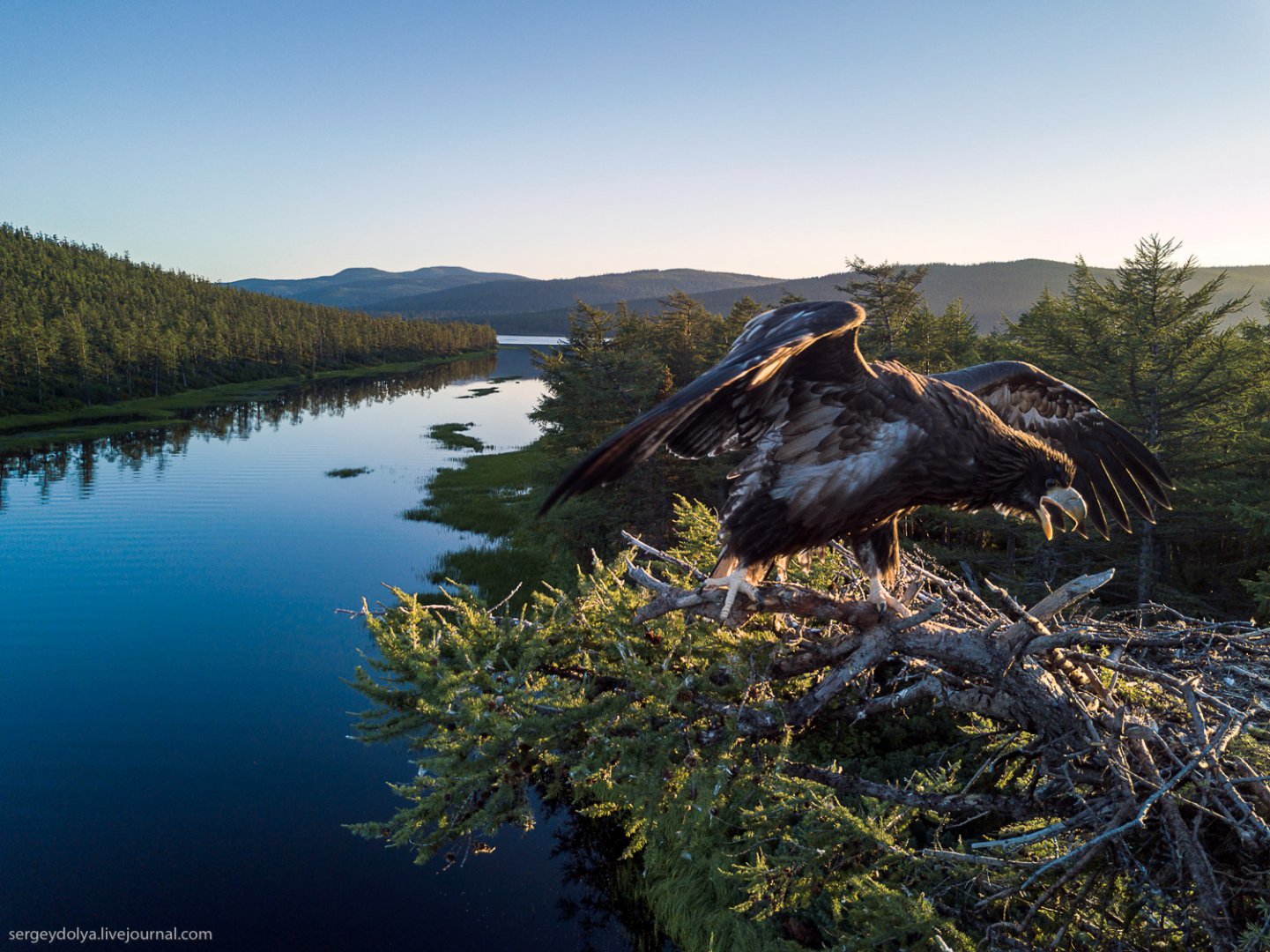 51_DJI_0374-Edit.jpg
