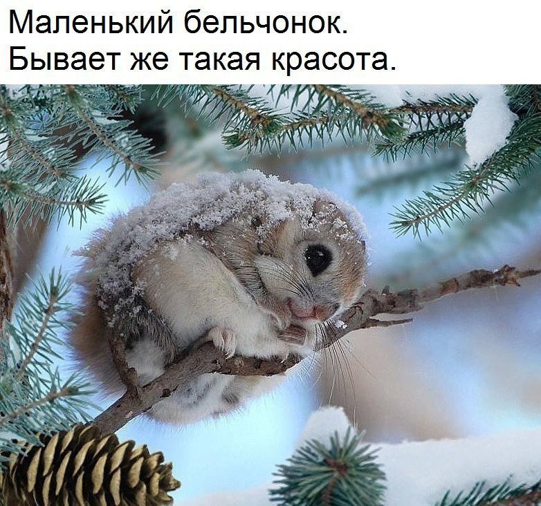 53.jpg