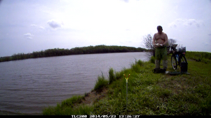 53 Рафик или мйский карась Нарейко.jpg