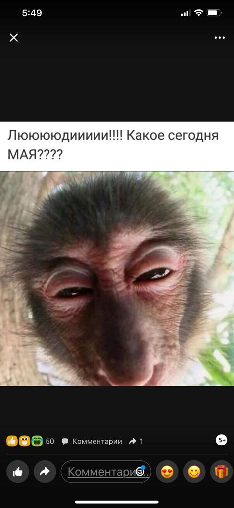 533CE7CD-2A0F-4B78-AF22-93C0B07C8B5D.jpeg
