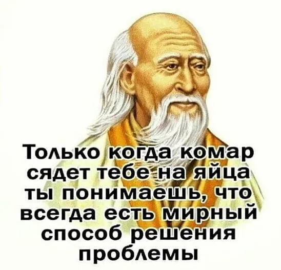 53чч.png