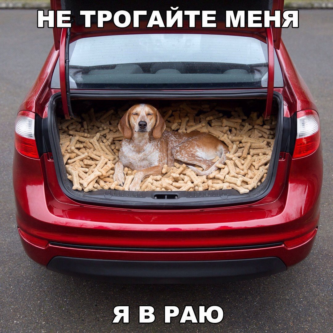 5444444462.jpg