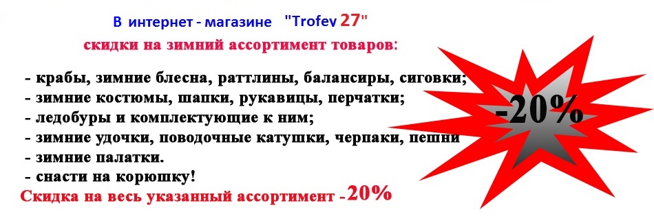 545.jpg