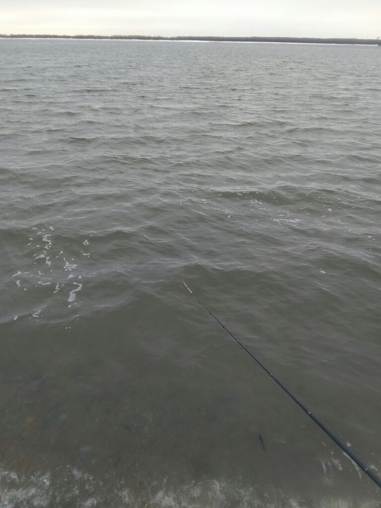 5456465465.jpg