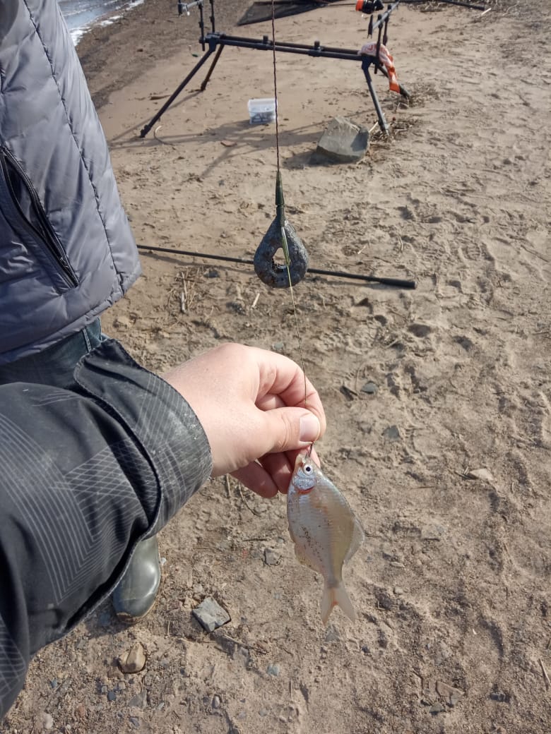 554a8c43-7b02-4925-b692-05eb693d87ac.jpg