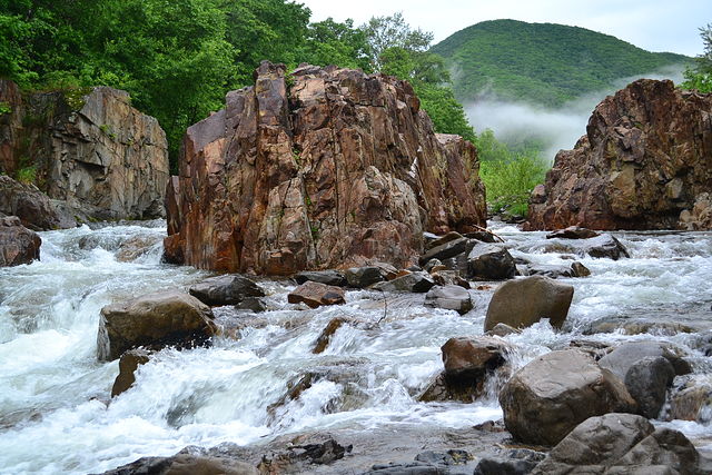 56.jpg