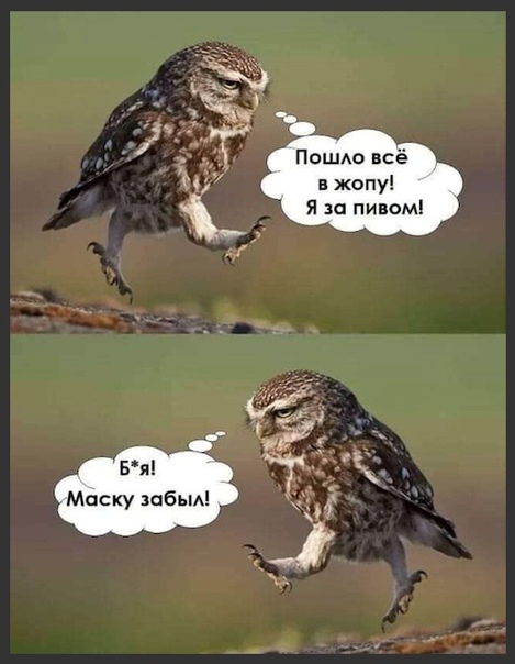 56464.jpg