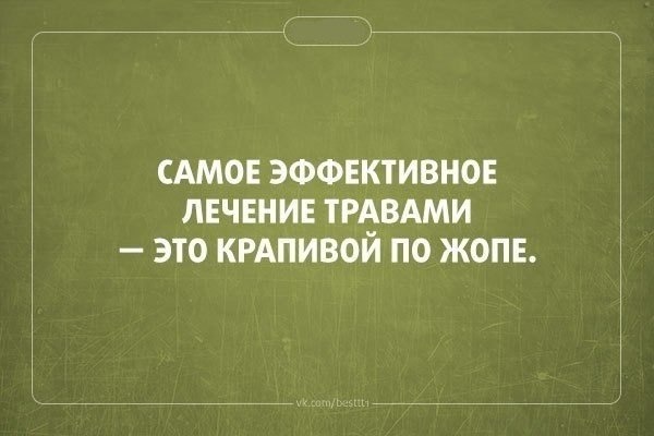 585349.jpg