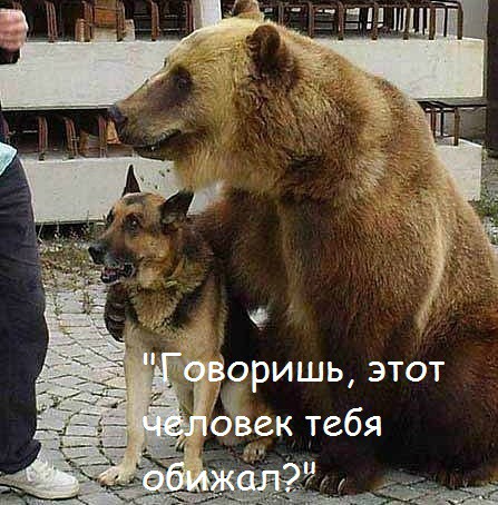5_1 (9).jpg