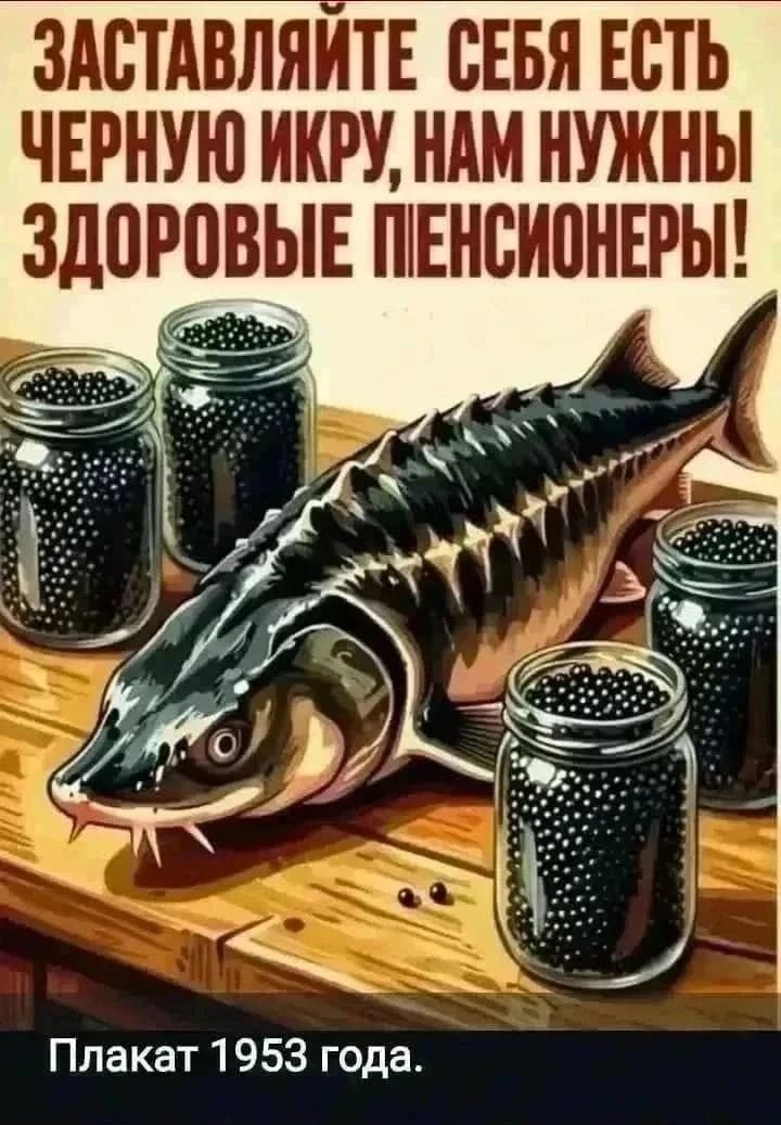 5a23e68b0843d7b5549efcc8226e5c65.jpg
