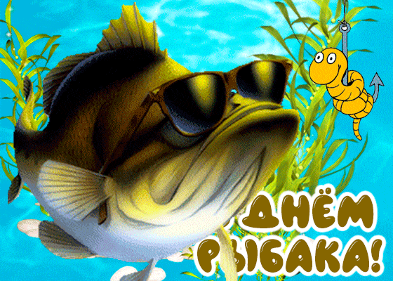 5D1F6DF7-8FD9-4E1D-8A59-DC6584A1C546.gif