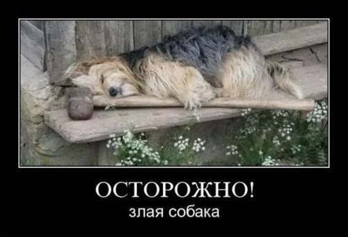 5d27451d43 (1).jpg