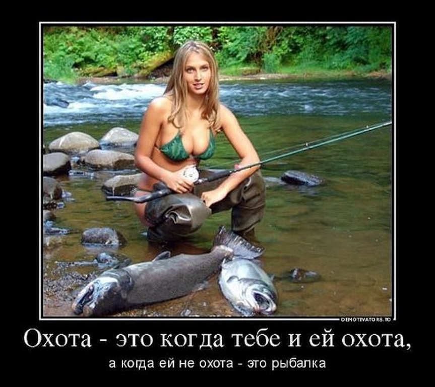 6041539.jpg