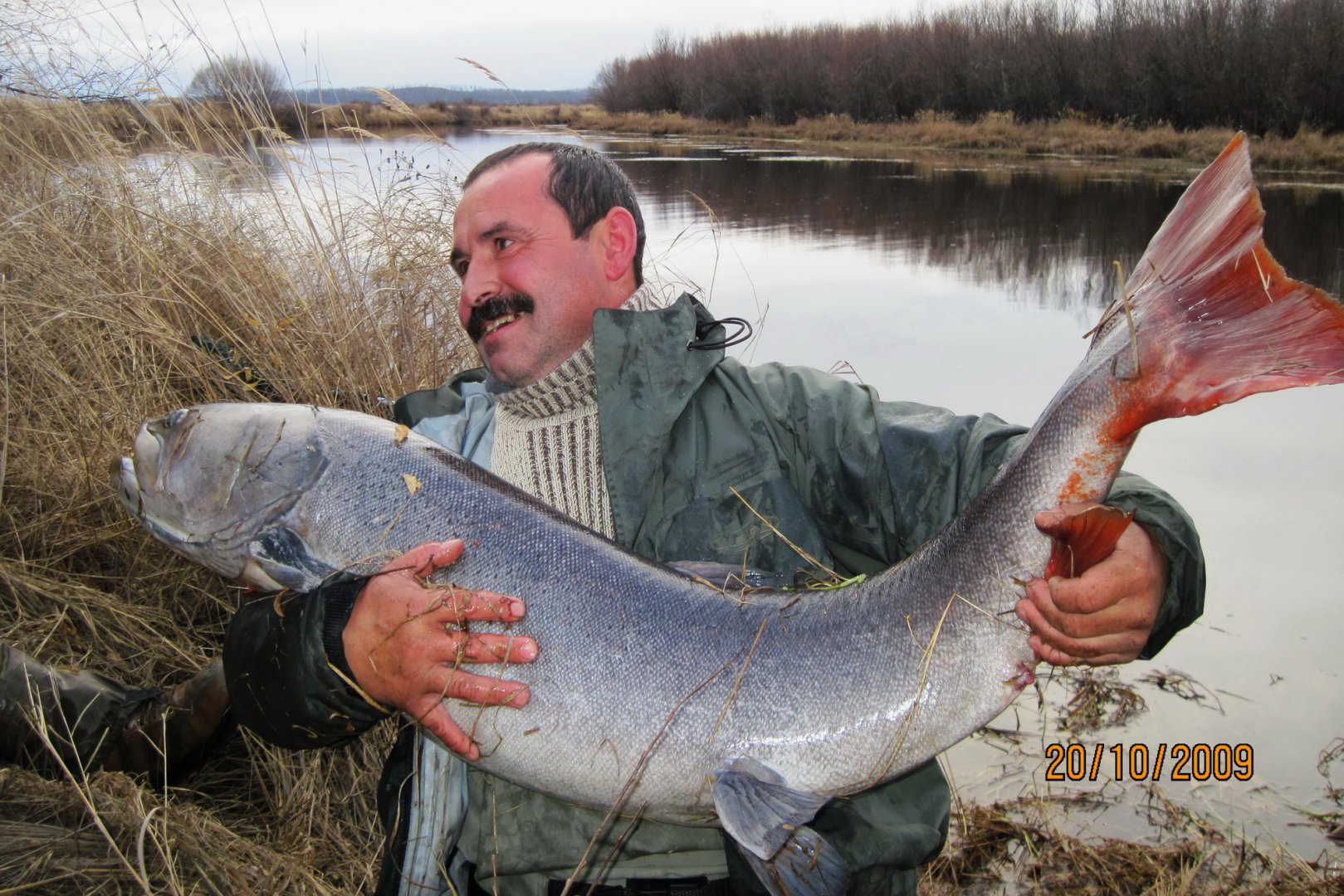 61- Бичи 2012 г._новый размер.JPG