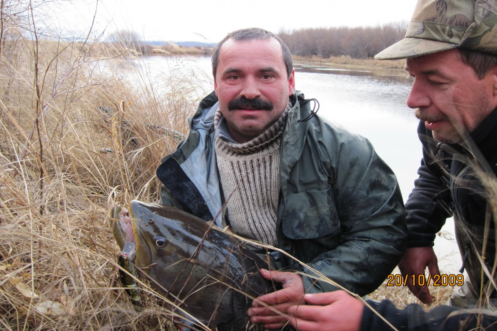 62- Бичи 2012 г._новый размер.JPG