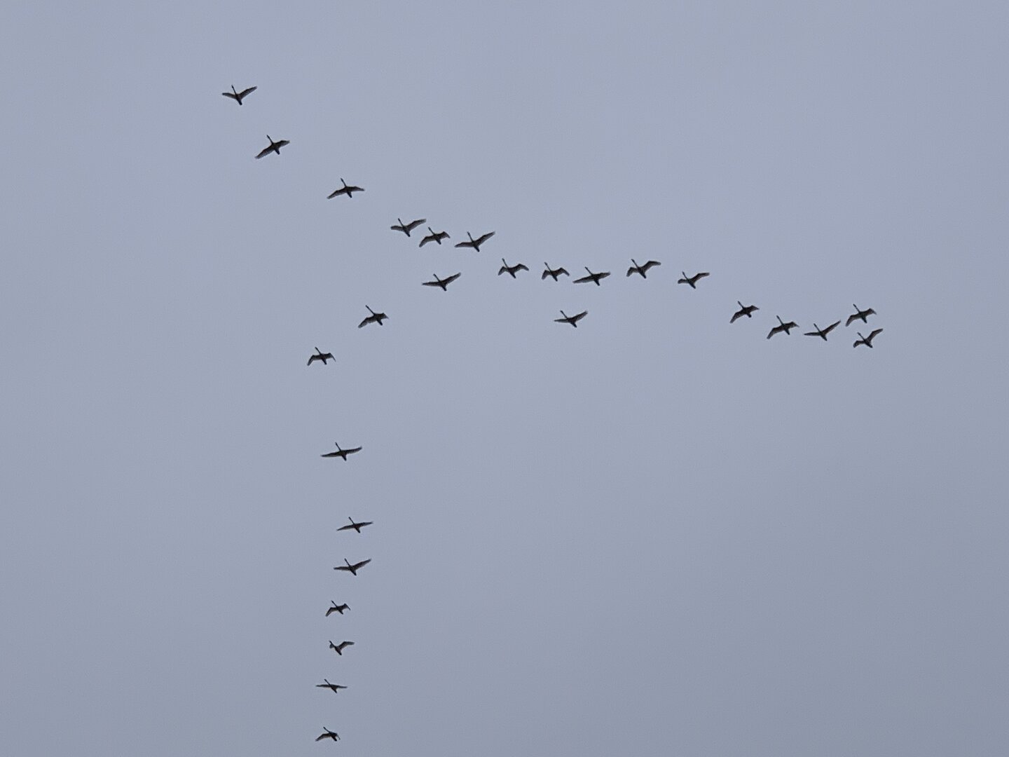 64CA0577-4FAB-40D5-B67F-9DDC776FCB48.jpeg