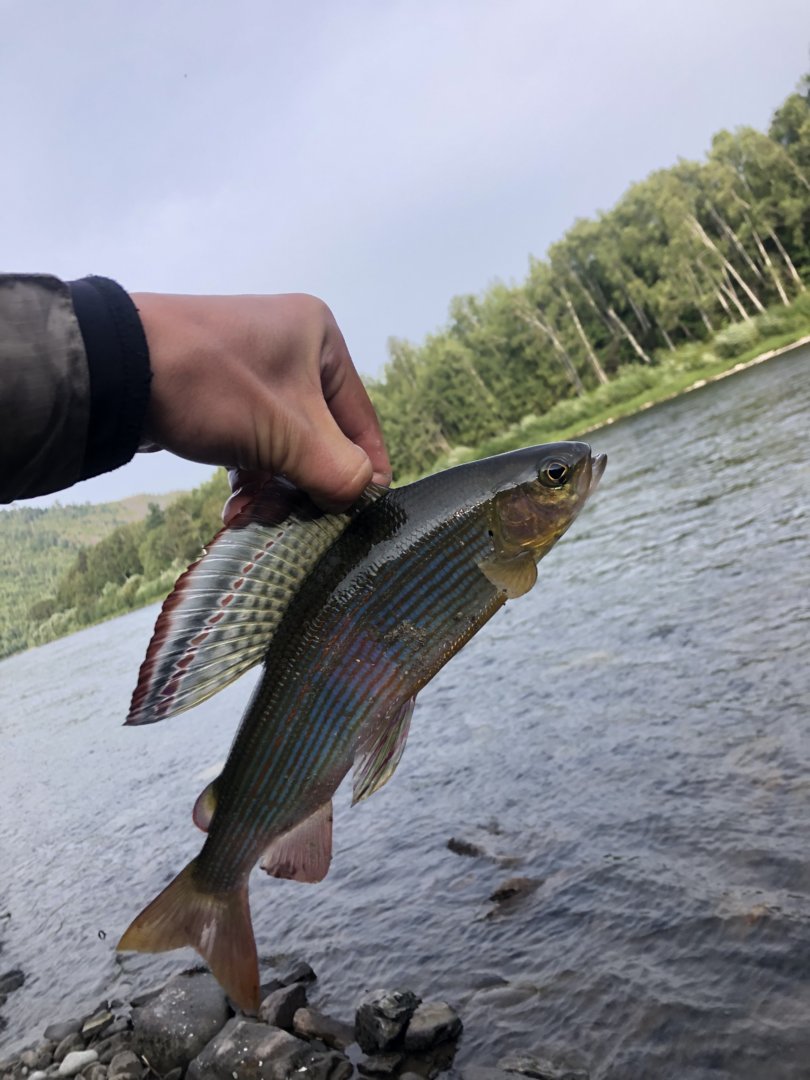 64F0407C-D0D6-40F7-8ACD-471805587DCE.jpeg