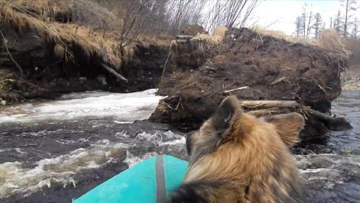 65 р Холодникан Рудь.jpg