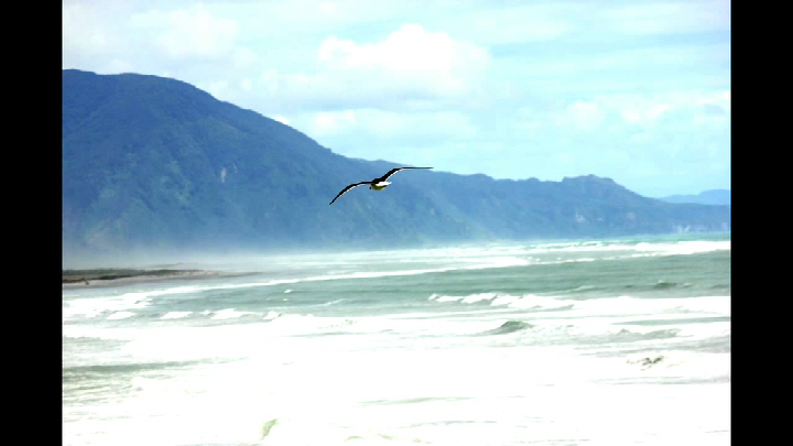 67 На автомобиле по Н Зеландии.jpg