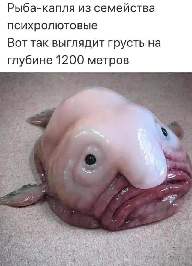 67613069_2628362050767789_2175242275037118464_n.jpg