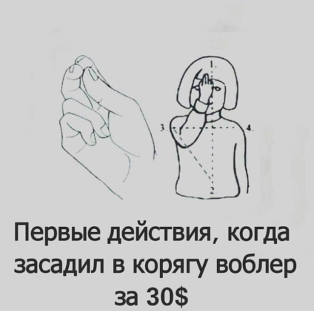 677F572A-7399-4568-9811-8AA6118689D7.jpeg