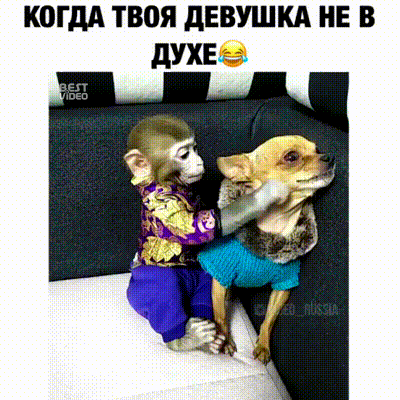 69_1577636563.gif